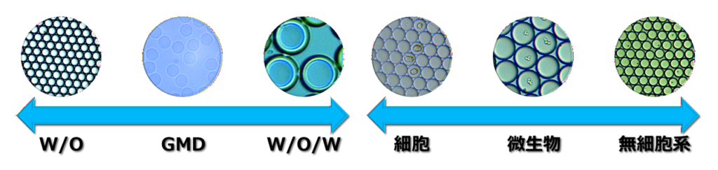 ドロップレット内に封入可能な細胞、微生物、ビーズ等のサンプル例