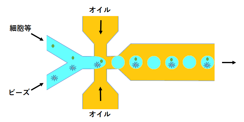 ドロップレット RNA-Seq