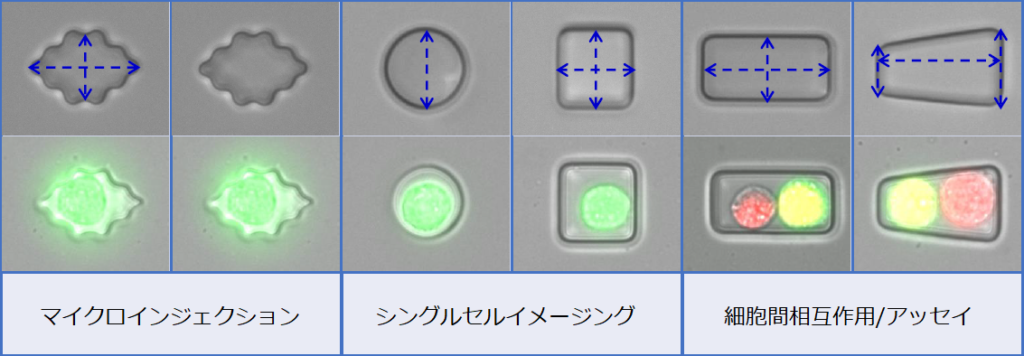 シングルセルウェルプレートPicoWell Chamber
