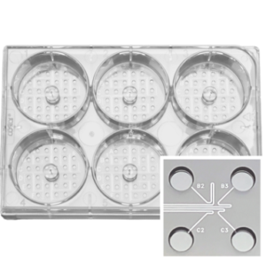 シングルセル分注・培養プレート 1CellPlate-mini Smart Aliquotor mini ＮＴサイエンス