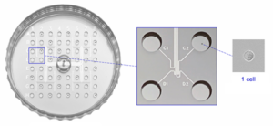 1CellDish-60mm シングルセル分注 NTサイエンス
