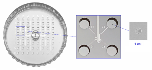 1CellDish-60mm シングルセル単離・分注プレート 装置不要
